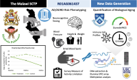 a graphic for Testing Effects of Cash Transfers on Biological Aging and Risk for Alzheimer's Disease